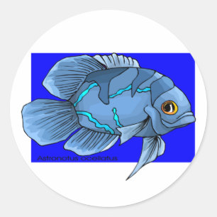 Mooie blauwe tropische Oscar vis Ronde Sticker