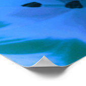 Mooie Blauwe Tulp Poster (Hoek)