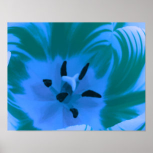 Mooie Blauwe Tulp Poster