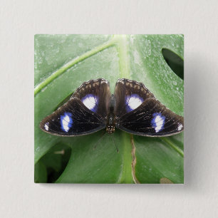 Mooie blauwe vlinderButton Vierkante Button 5,1 Cm