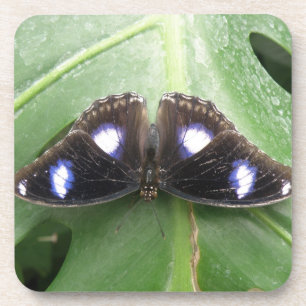 Mooie blauwe vlinderkurk Onderzetters