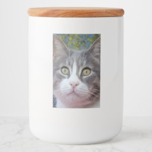 Mooie blik op het etiket van de kat-voedselverpakk