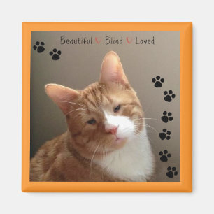 Mooie Blind met magneet
