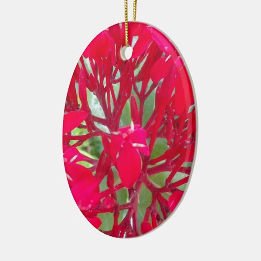 Mooie Bloedbloem Milkweed Art Print/Graphic Keramisch Ornament (Links)