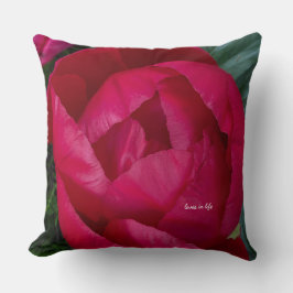 Mooie bloeiende rode pioen kussen