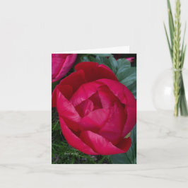 Mooie bloeiende rode pioen notitiekaartje