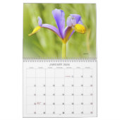 Mooie bloemen bloemenkalender kalender (Jan 2026)