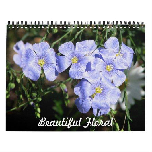 Mooie Bloemen Kalender (Hoes)