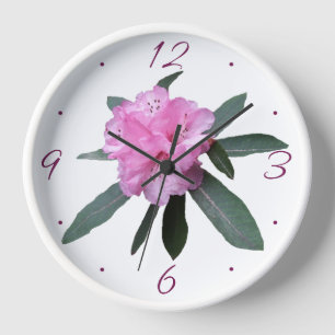 Mooie bloemen roze bloemen modern boho