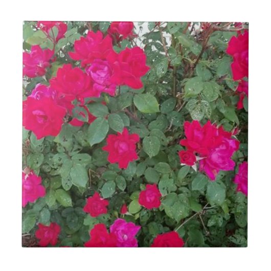 Mooie bloemen tegeltje (Voorkant)