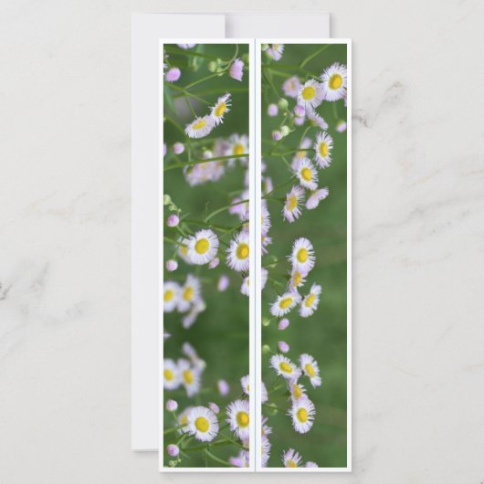 Mooie Bloemen Twee Bladwijzer (Achterkant)