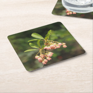 Mooie bloemen van Enkianthus Vierkante Kartonnen Onderzetter