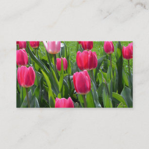 mooie bloemen van roze lentesroop. tuinbloem visitekaartje