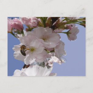 Mooie Bloesems met Bee DIY Briefkaart