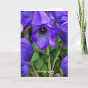 Mooie Blue Delphiniums Sympathiekaart Kaart