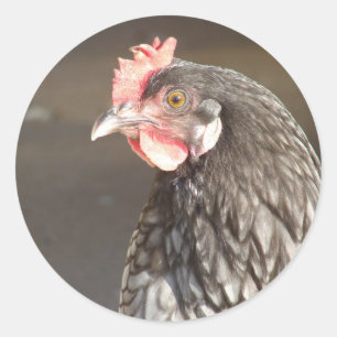 Mooie Blue Hen Classic ronde Sticker