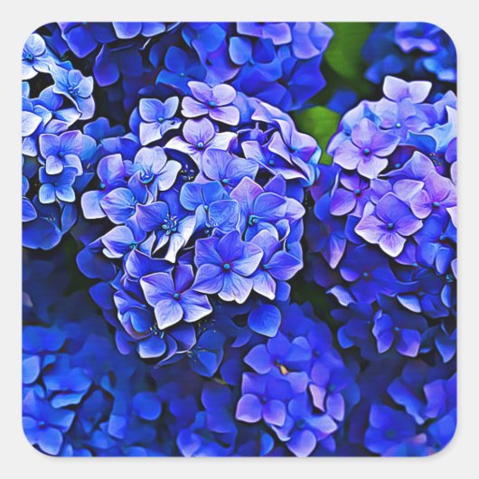 Mooie Blue Hydrangea Flowers Stickers (Voorkant)