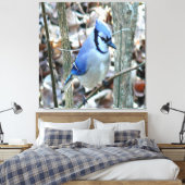Mooie Blue Jay Canvas Afdruk (Insitu (Slaapkamer))