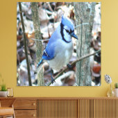 Mooie Blue Jay Canvas Afdruk (Insitu (Woonkamer))