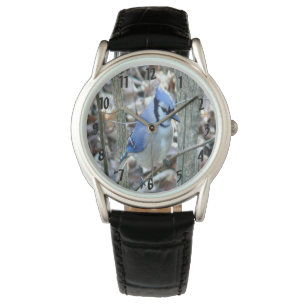 Mooie Blue Jay Horloge