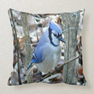 Mooie Blue Jay Kussen