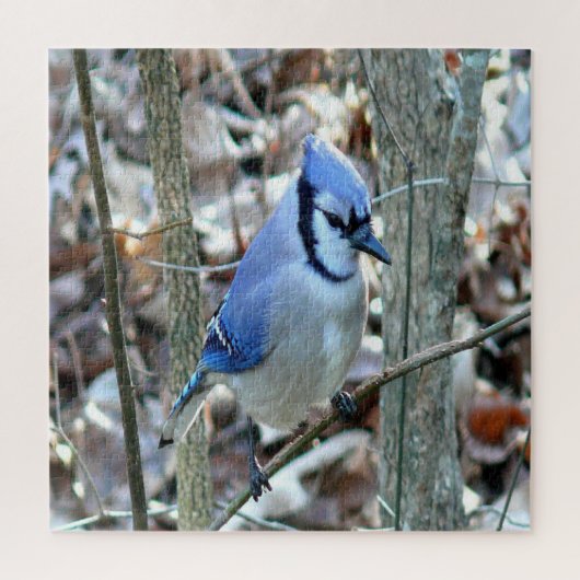 Mooie Blue Jay Legpuzzel (Verticaal)