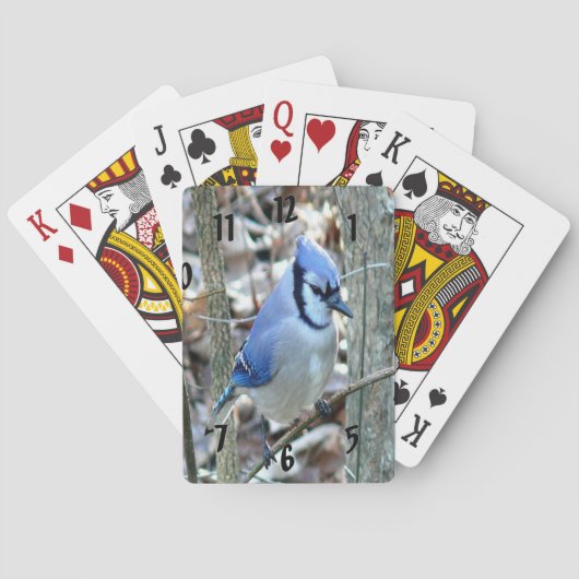 Mooie Blue Jay Pokerkaarten (Achterkant)