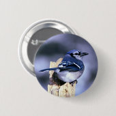 Mooie Blue Jay Ronde Button 5,7 Cm (Voorkant /achterkant)
