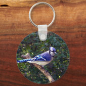 Mooie Blue Jay Sleutelhanger (Voorkant)