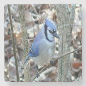 Mooie Blue Jay Stenen Onderzetter (Voorkant)