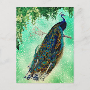 Mooie Blue Peacock Natuur Bird Tail Briefkaart