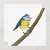 Mooie Blue tit Kaart (Voorkant / Achterkant)