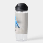 Mooie Bluebird Songbird in de Beach Waterfles (Achterkant)