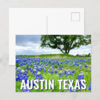 Mooie Bluebonnets Austin Texas Fotografie