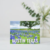 Mooie Bluebonnets Austin Texas Fotografie Briefkaart (Staand voorkant)