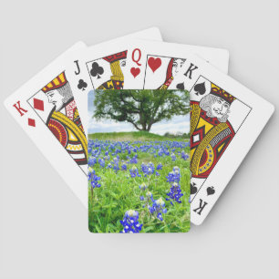 Mooie Bluebonnets Texas Fotografie Pokerkaarten