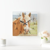 Mooie Boerderijen paarden en landplein Clo Vierkante Klok (Huis)