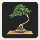 Mooie Bonsai Tree Onderzetter Set (Voorkant)
