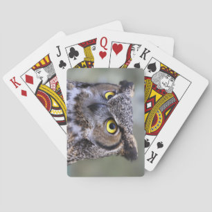 Mooie boomgaarden voor het spelen van kaarten
