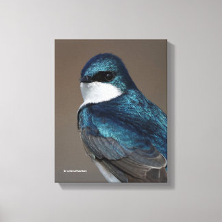Mooie Boomzwaluw: Vogel op een Draad Canvas Afdruk