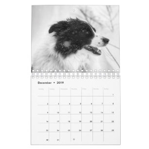 Mooie Border Collie Dog-agenda Kalender