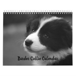 Mooie Border Collie-hondenkalender Kalender