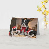 Mooie Border Collie Kerst Koekje Kaart (Gele Bloem)