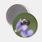 Mooie borrelbijen magneet (Voorkant / Achterkant)