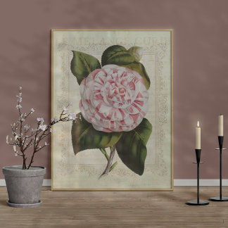 Mooie botanische print Camellia bloem