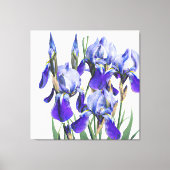 Mooie botanische Waterverf Blue Iris Flowers P Canvas Afdruk (Voorkant)