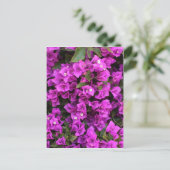 Mooie Bougainvillea Briefkaart (Staand voorkant)