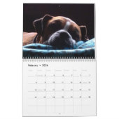 Mooie Boxers 2017-agenda Kalender (Feb 2026)