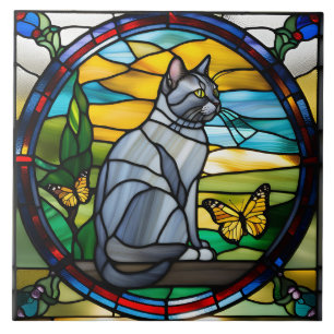 Mooie Britse Korthaar Kat Sierlijke Tegel Tegeltje