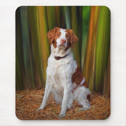 Mooie Brittany Mousepad Muismat (Voorkant)